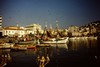 Boats in the harbour. Photo: KT.