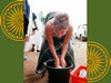 Fay washing in bucket.  Photo: ALS.