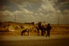 Camels at Ipsala.  Photo: KT.