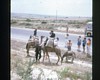 Somebody on a camel.  Photo: GB.